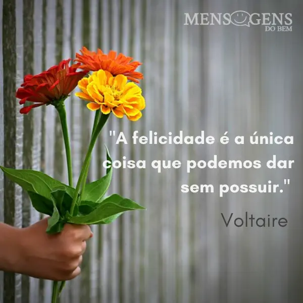 Mão segurando flores entre grades e mensagem: A felicidade é a única coisa que podemos dar sem possuir." - Voltaire